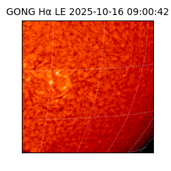 gong - 2025-10-16T09:00:42