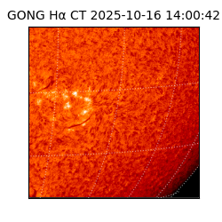 gong - 2025-10-16T14:00:42