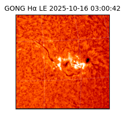 gong - 2025-10-16T03:00:42