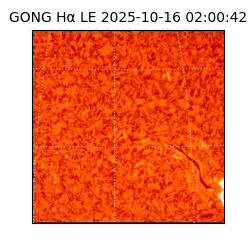 gong - 2025-10-16T02:00:42