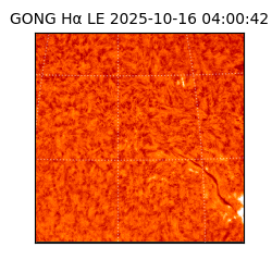 gong - 2025-10-16T04:00:42