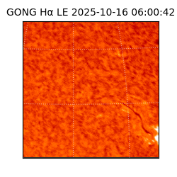 gong - 2025-10-16T06:00:42