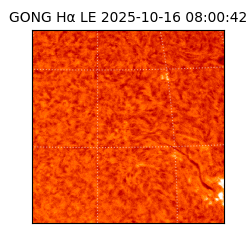 gong - 2025-10-16T08:00:42
