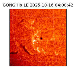 gong - 2025-10-16T04:00:42