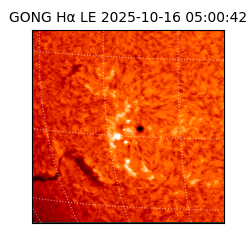 gong - 2025-10-16T05:00:42