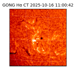 gong - 2025-10-16T11:00:42