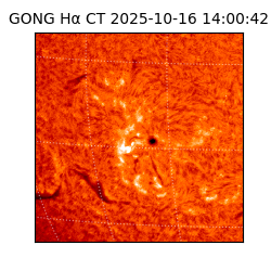 gong - 2025-10-16T14:00:42