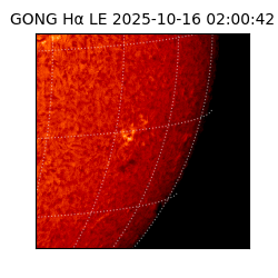 gong - 2025-10-16T02:00:42