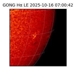 gong - 2025-10-16T07:00:42