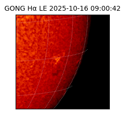 gong - 2025-10-16T09:00:42