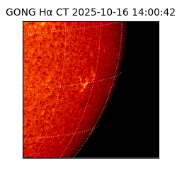 gong - 2025-10-16T14:00:42