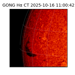 gong - 2025-10-16T11:00:42