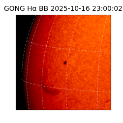gong - 2025-10-16T23:00:02