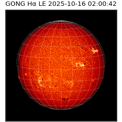 gong - 2025-10-16T02:00:42