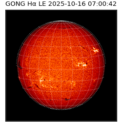 gong - 2025-10-16T07:00:42