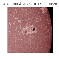saia - 2025-10-17T08:00:28.717000