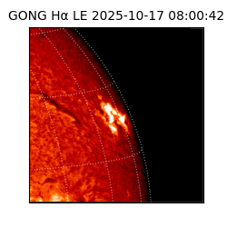 gong - 2025-10-17T08:00:42