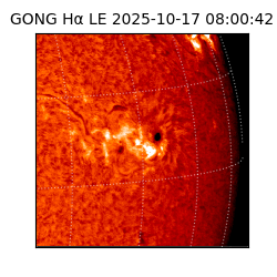 gong - 2025-10-17T08:00:42