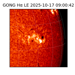 gong - 2025-10-17T09:00:42