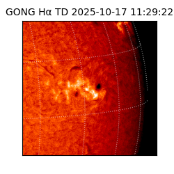 gong - 2025-10-17T11:29:22