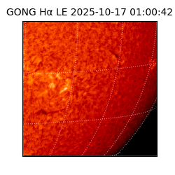 gong - 2025-10-17T01:00:42