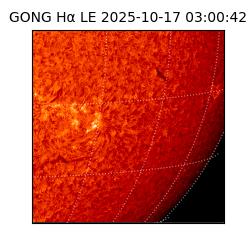 gong - 2025-10-17T03:00:42