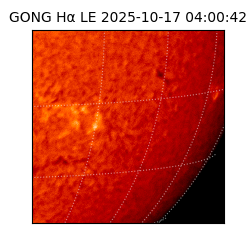 gong - 2025-10-17T04:00:42