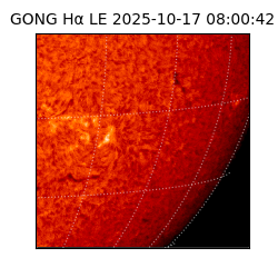 gong - 2025-10-17T08:00:42