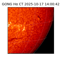 gong - 2025-10-17T14:00:42