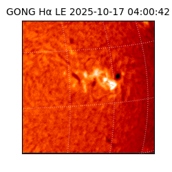 gong - 2025-10-17T04:00:42