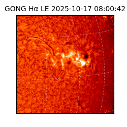 gong - 2025-10-17T08:00:42