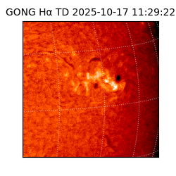 gong - 2025-10-17T11:29:22
