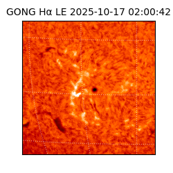 gong - 2025-10-17T02:00:42