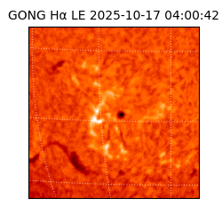 gong - 2025-10-17T04:00:42