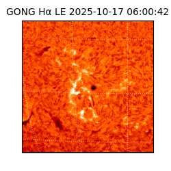 gong - 2025-10-17T06:00:42