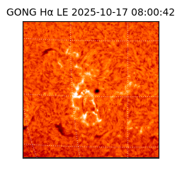 gong - 2025-10-17T08:00:42