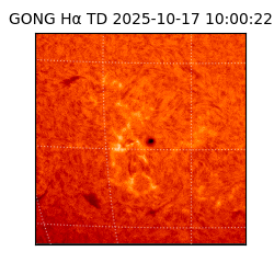 gong - 2025-10-17T10:00:22