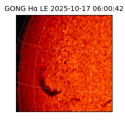 gong - 2025-10-17T06:00:42