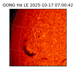 gong - 2025-10-17T07:00:42