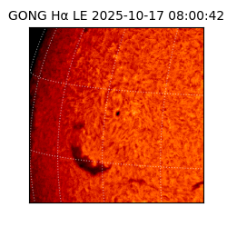 gong - 2025-10-17T08:00:42
