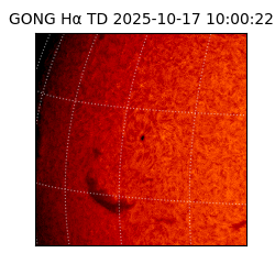 gong - 2025-10-17T10:00:22