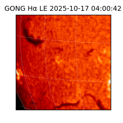 gong - 2025-10-17T04:00:42