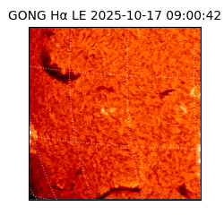 gong - 2025-10-17T09:00:42