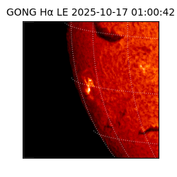 gong - 2025-10-17T01:00:42
