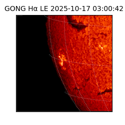 gong - 2025-10-17T03:00:42