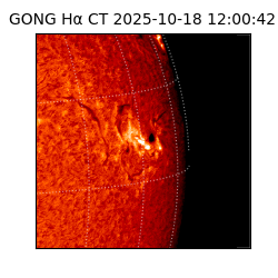 gong - 2025-10-18T12:00:42