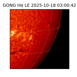 gong - 2025-10-18T03:00:42
