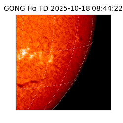 gong - 2025-10-18T08:44:22
