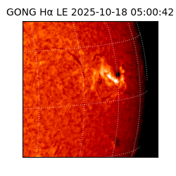 gong - 2025-10-18T05:00:42
