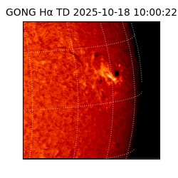 gong - 2025-10-18T10:00:22